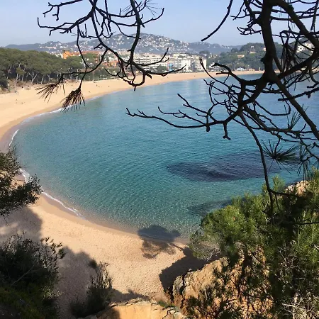 Vivalidays Alicia - Fenals - * Lloret de Mar